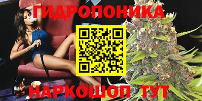 твердый Краснодар
